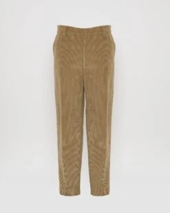 Pantalon Droit En Velours Cotelé -yves salomon boutique 24EHP032XXTICOA8201 9